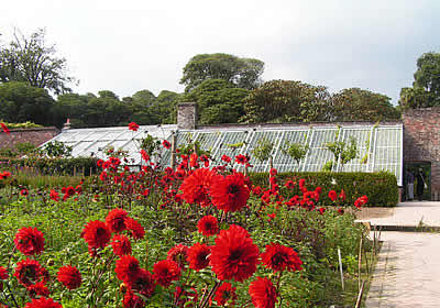 The Lost Gardens of Heligan