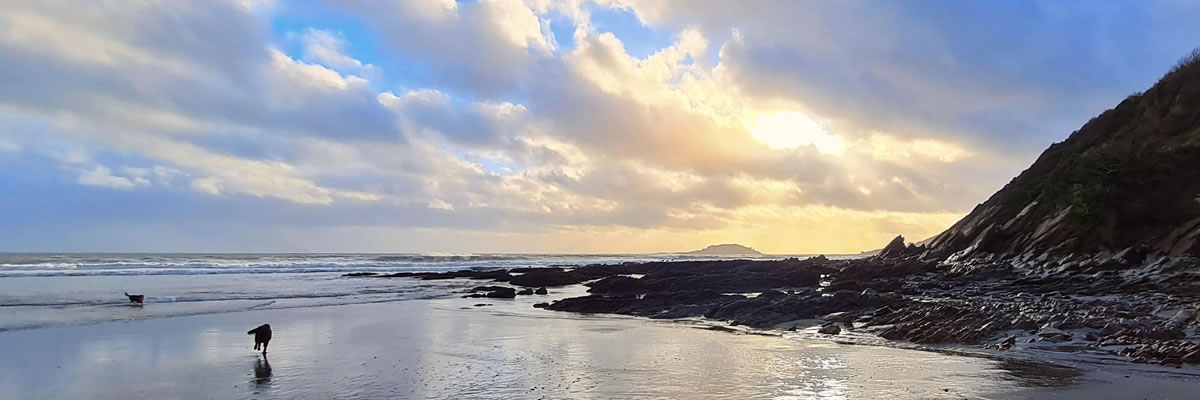 Walking the dogs on a local beach